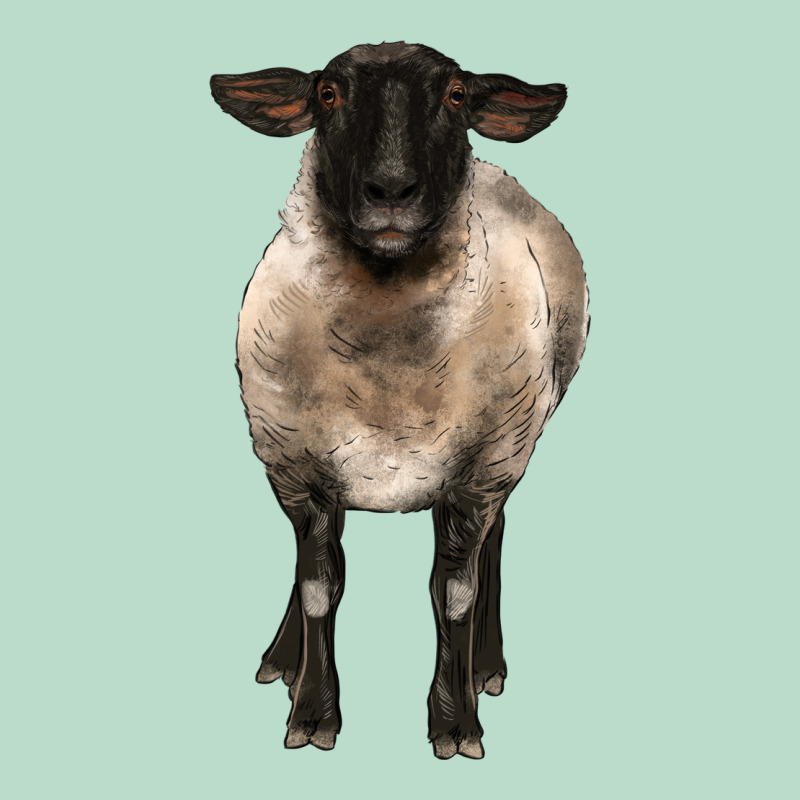 Suffolk Ewe Front Premium Hoodie by BarkalooDesign | Teevron
