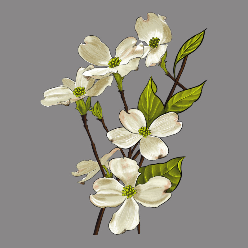 American Dogwood Flower Illustrations Vintage Tee by LillyAllenDesigns | Teevron