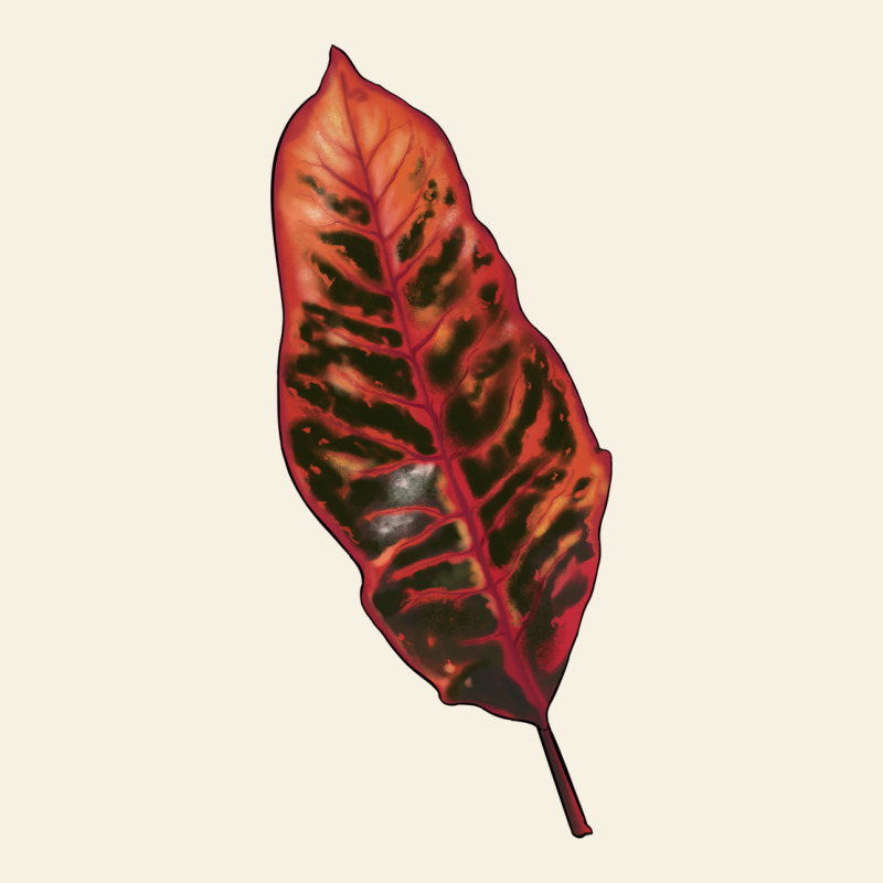 Croton Leaf Vintage Tee by LillyAllenDesigns | Teevron