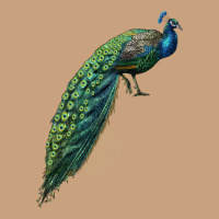 Peacock Vintage Tee | Teevron