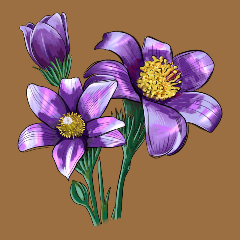 Pasque Flower Illustrations Vintage Tee by LillyAllenDesigns | Teevron