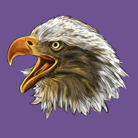 Bald Head Eagle Vintage Tee | Teevron