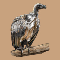 Vulture Bird Vintage Tee | Teevron
