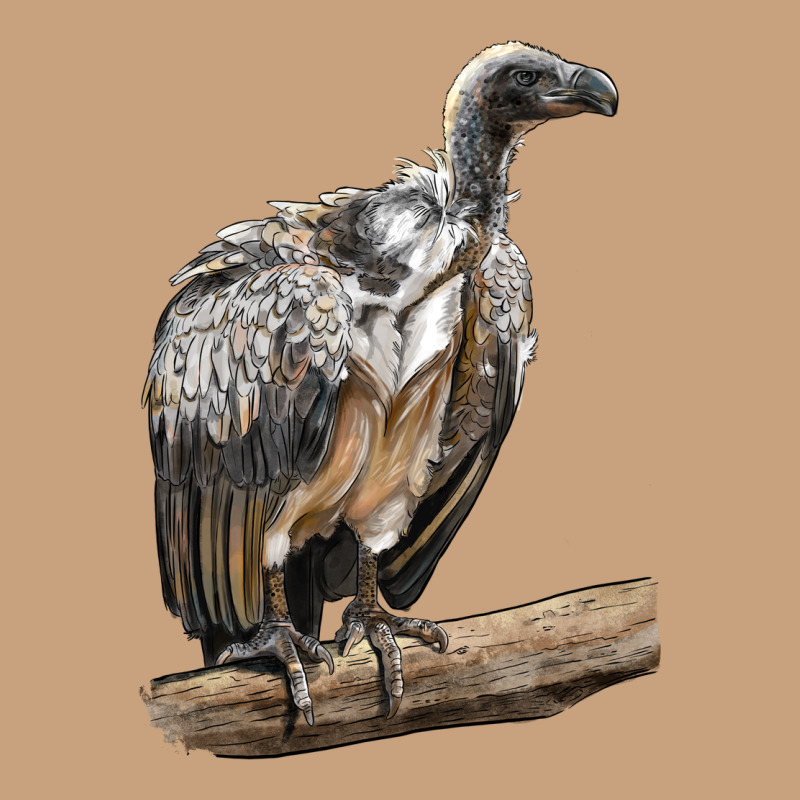 Vulture Bird Vintage Tee by LillyAllenDesigns | Teevron