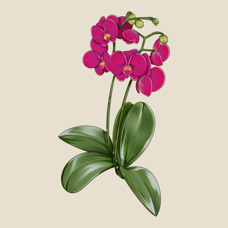 Moth Orchid Urban Heavy Tee by LillyAllenDesigns | Teevron
