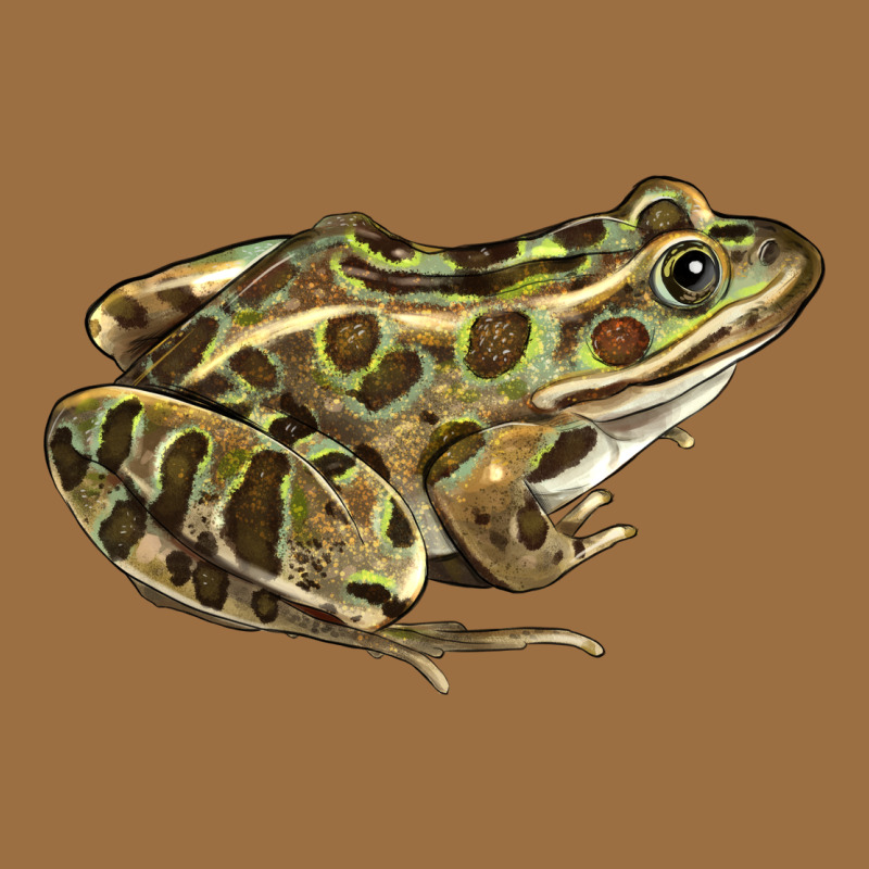 Northern Leopard Frog Vintage Tee by LillyAllenDesigns | Teevron