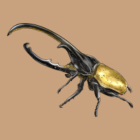 Hercules Beetle Side Vintage Tee | Teevron