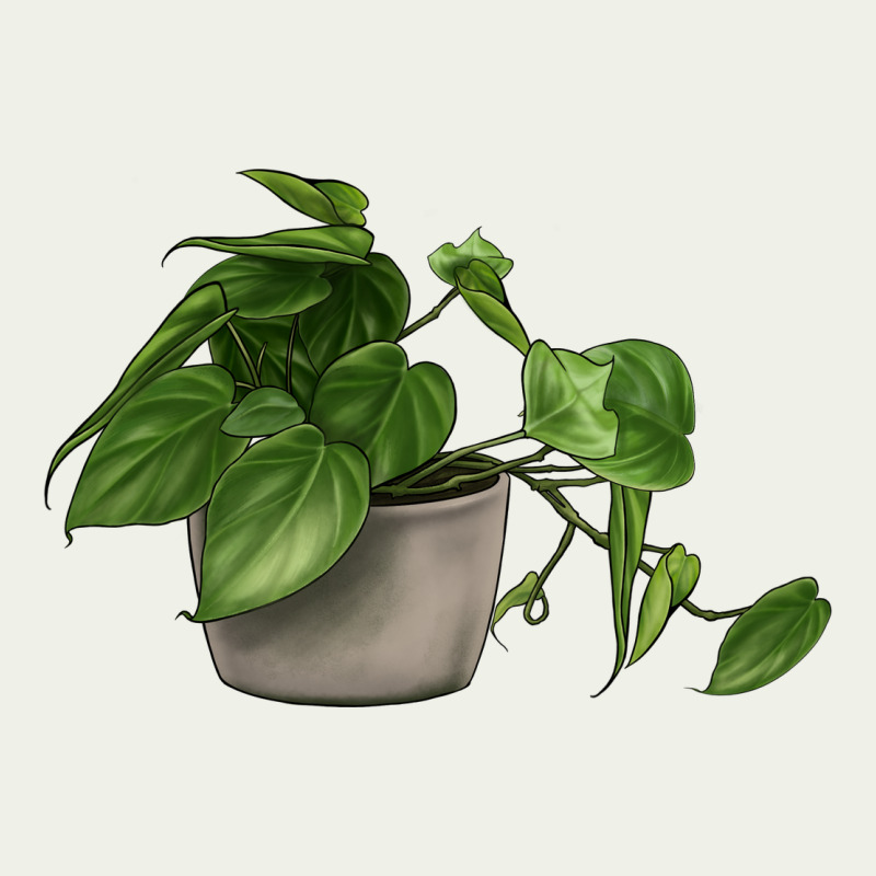 Philodendron Urban Heavy Tee by LillyAllenDesigns | Teevron
