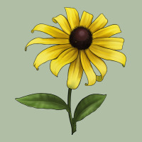 Black Eyed Susan Flower Illustrations Urban Heavy Tee | Teevron