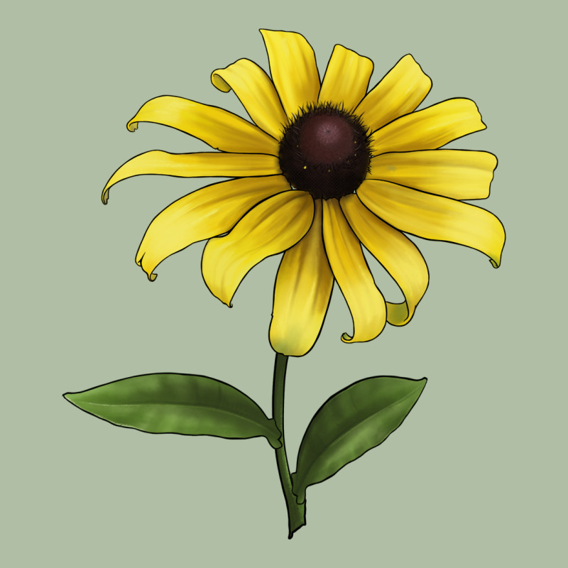 Black Eyed Susan Flower Illustrations Urban Heavy Tee by LillyAllenDesigns | Teevron