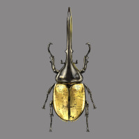 Hercules Beetle Vintage Tee | Teevron