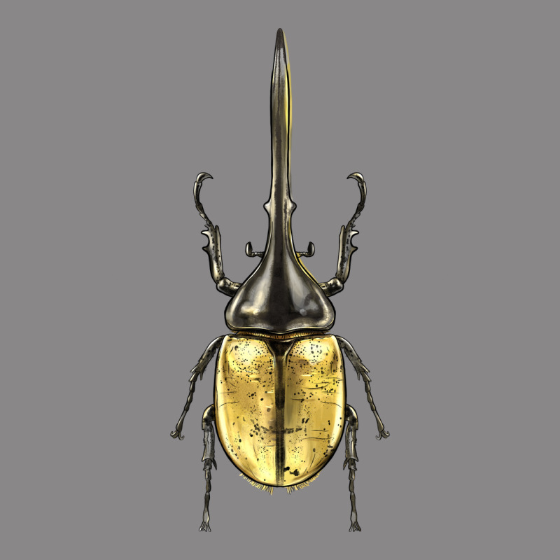 Hercules Beetle Vintage Tee by LillyAllenDesigns | Teevron