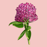 Red Clover Illustrations Urban Heavy Tee | Teevron