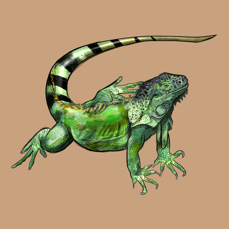 İguana Vintage Tee by LillyAllenDesigns | Teevron