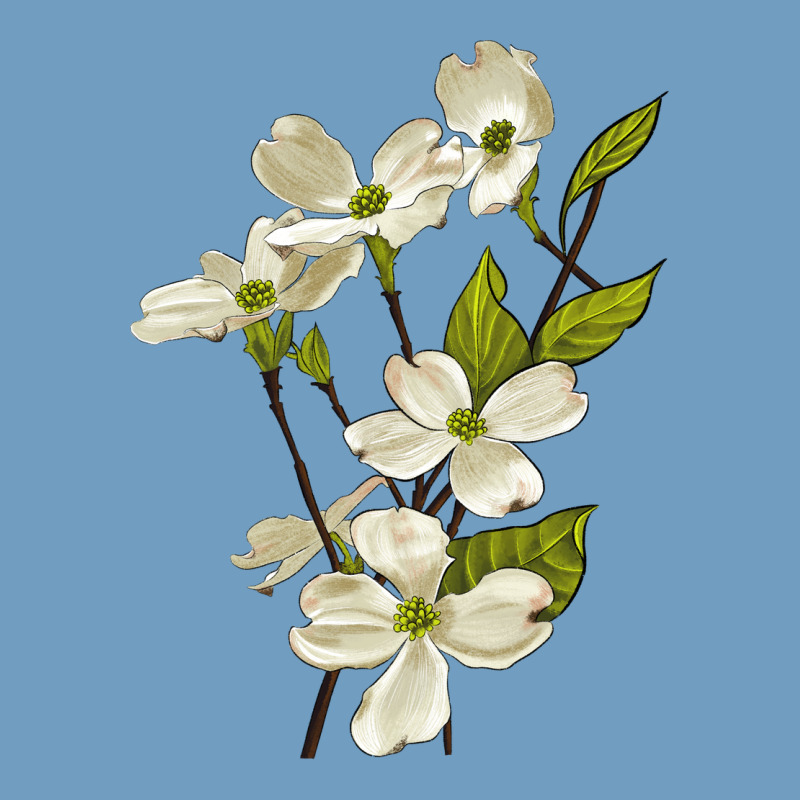 American Dogwood Flower Illustrations Urban Heavy Tee by LillyAllenDesigns | Teevron