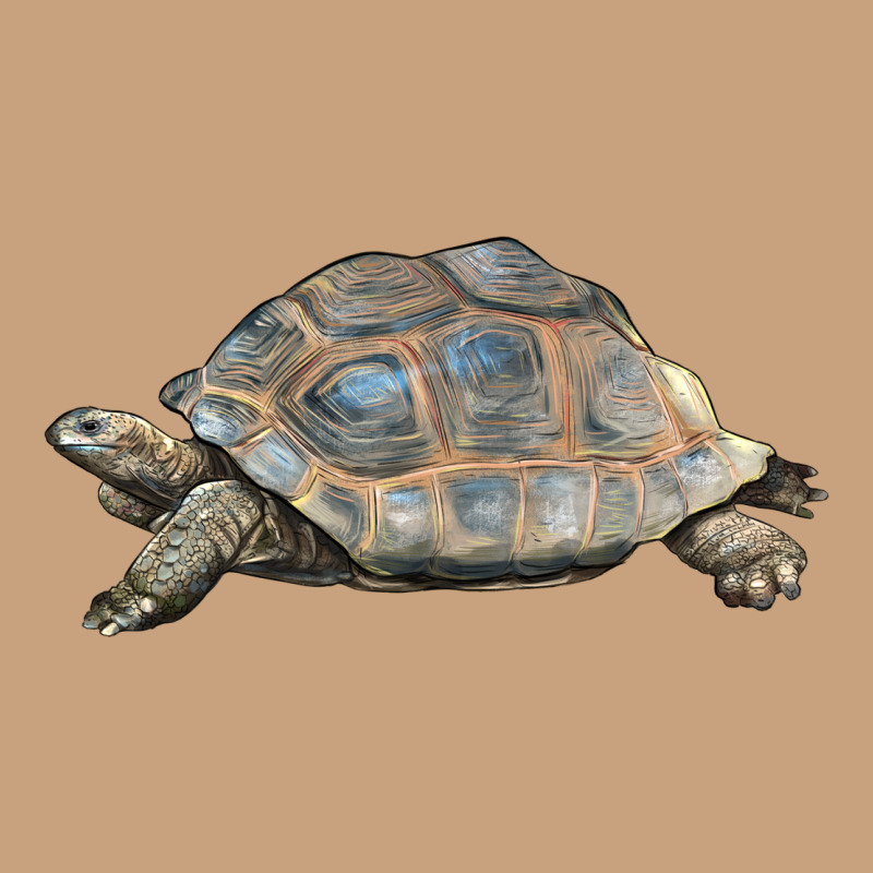 Tortoise Illustrations Vintage Tee by LillyAllenDesigns | Teevron