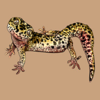 Gecko Lizard Illustrations Vintage Tee | Teevron