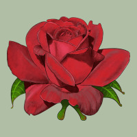 Oklahoma Rose Illustrations Urban Heavy Tee | Teevron