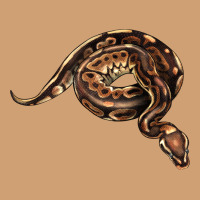 Royal Ball Python Illustrations Vintage Tee | Teevron