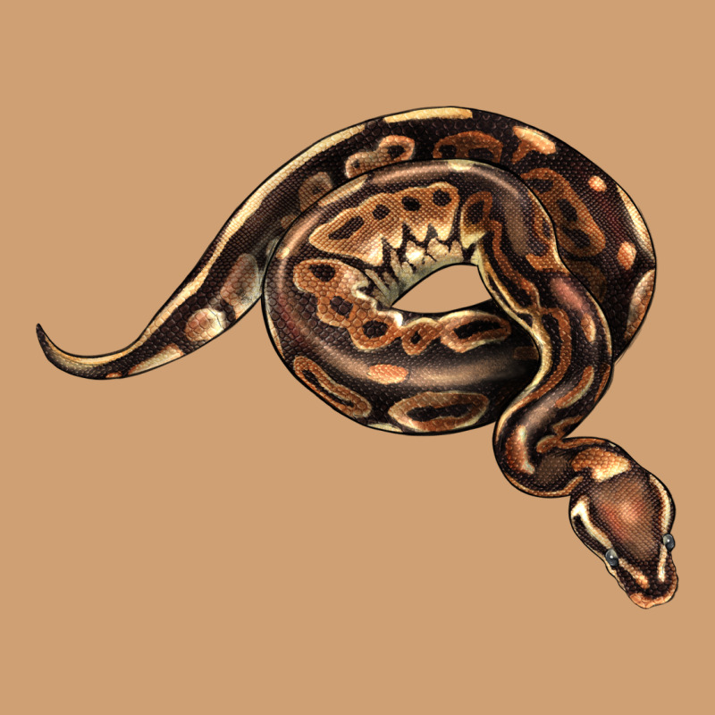 Royal Ball Python Illustrations Vintage Tee by LillyAllenDesigns | Teevron