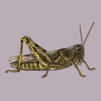 Grasshopper Vintage Tee | Teevron