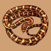 Corn Snake Illustrations Vintage Tee | Teevron