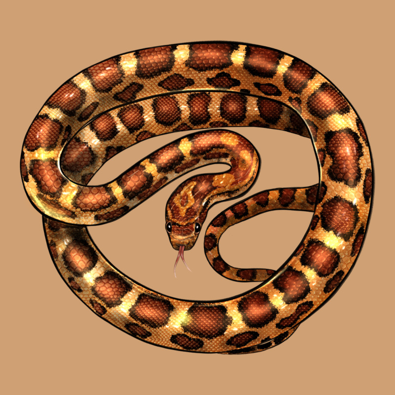 Corn Snake Illustrations Vintage Tee by LillyAllenDesigns | Teevron