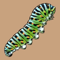 Papilio Machaon Caterpillar Vintage Tee | Teevron