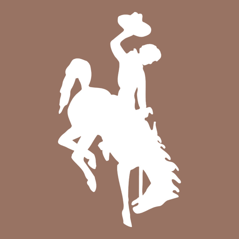 Wyoming Cowboys Premium Hoodie by DesignPulse | Teevron