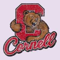 Cornell Premium Hoodie | Teevron