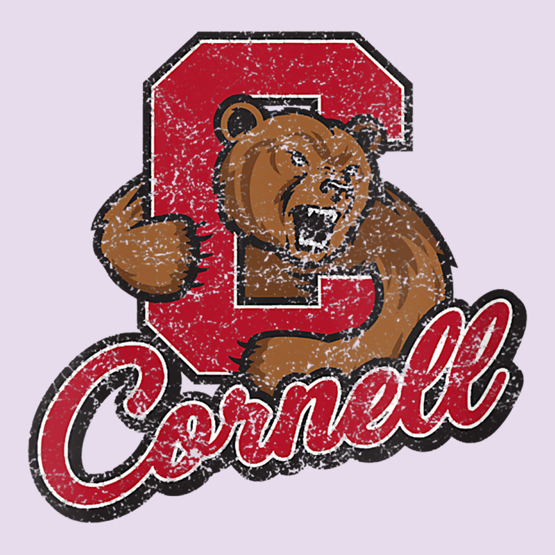 Cornell Premium Hoodie by DesignPulse | Teevron