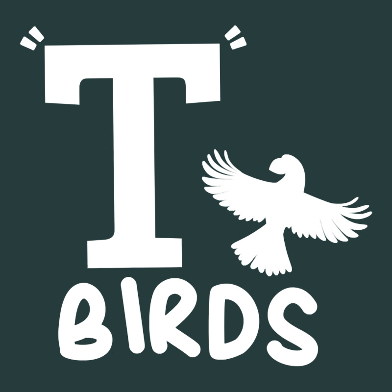 T Birds Greaser Thunderbirds 1970s T Birds Pullover Hoodie Premium Hoodie by DesignPulse | Teevron