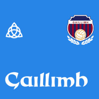 Galway Gaillimh Irish Gaelic Football And Hurling Premium Premium Hoodie | Teevron
