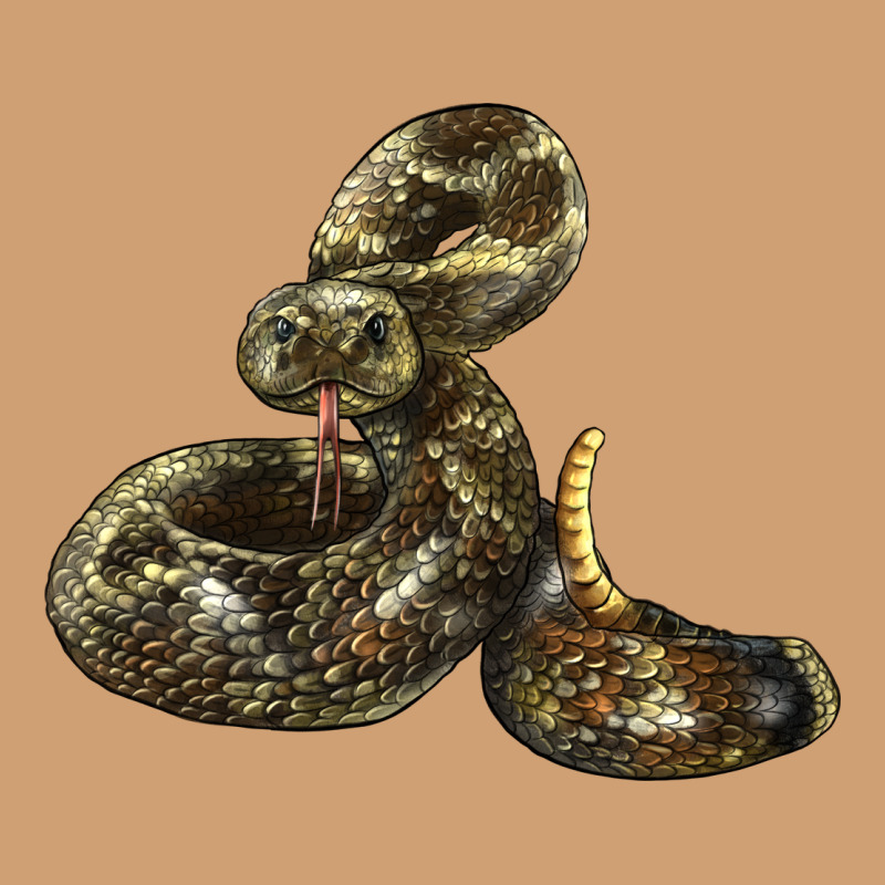 Rattlesnake Vintage Tee by LillyAllenDesigns | Teevron