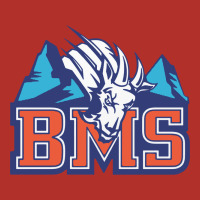 Blue Mountain State Premium Hoodie | Teevron