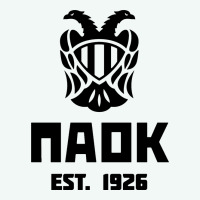 Paok Merch Premium Hoodie | Teevron