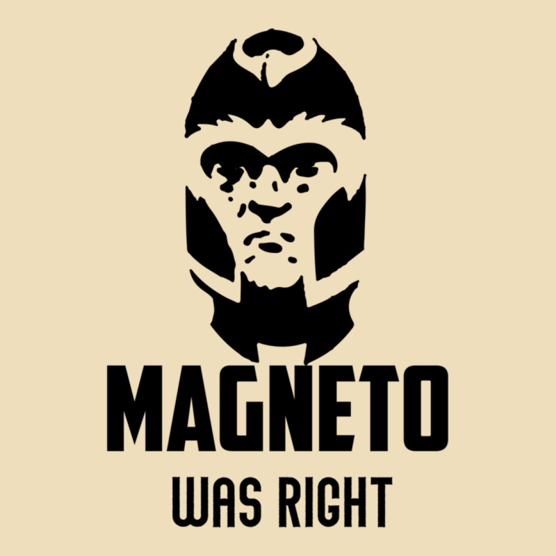 Magneto Was Right Premium Hoodie by PixelWave | Teevron