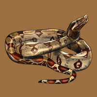 Red Tail Boa Snake Vintage Tee | Teevron