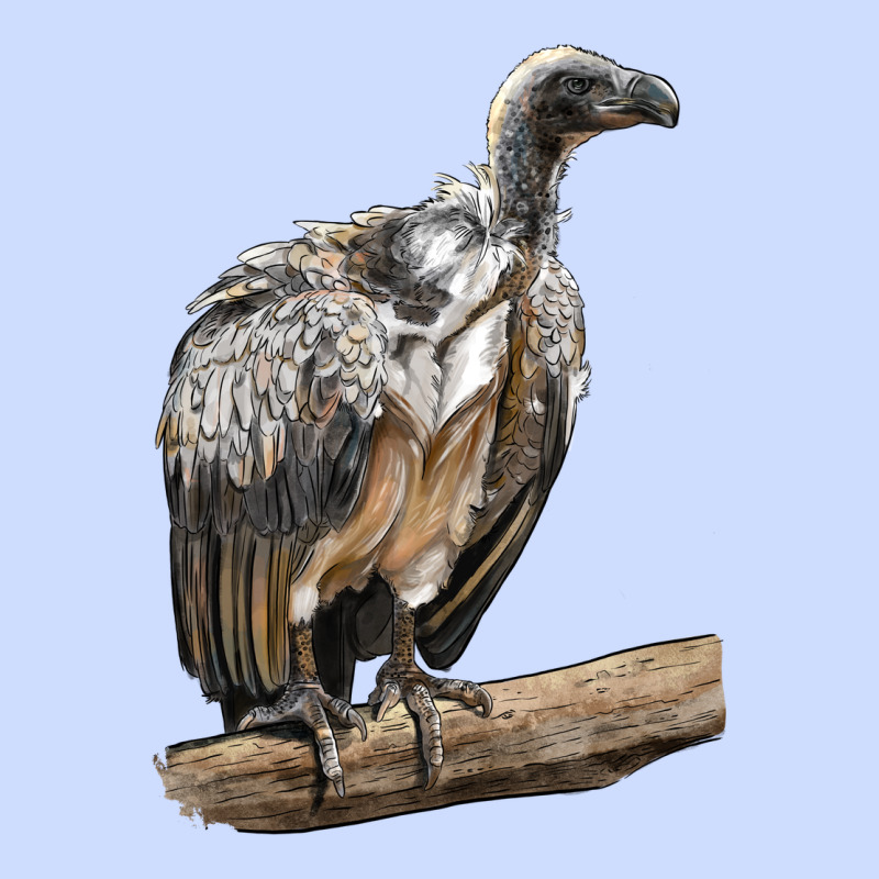 Vulture Bird Urban Heavy Tee by LillyAllenDesigns | Teevron