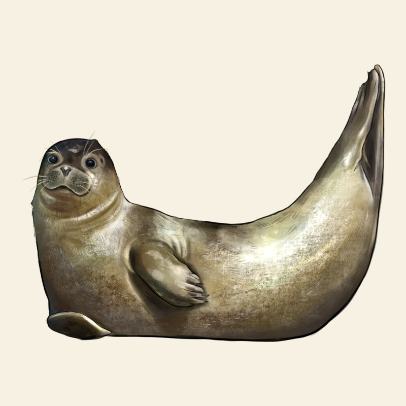 Sea Seal Vintage Tee by LillyAllenDesigns | Teevron