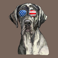 Great Dane Sunglasses American Usa Flag 4th Of July Fourth T Shirt Premium Hoodie | Teevron
