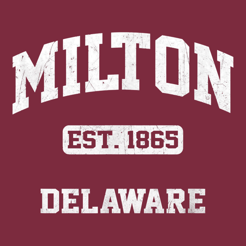 Milton Delaware De Vintage State Athletic Style T Shirt Premium Hoodie by InspiraDesign | Teevron