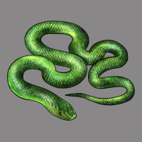 Boomslang Snake Vintage Tee | Teevron