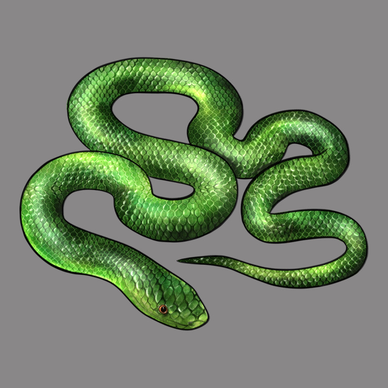 Boomslang Snake Vintage Tee by LillyAllenDesigns | Teevron