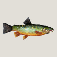 Greenback Cutthroat Trout Fish Heavy Core Tee | Teevron