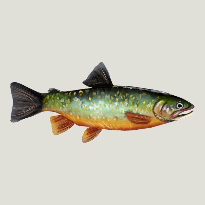 Greenback Cutthroat Trout Fish Heavy Core Tee by RanaPortraitStore | Teevron