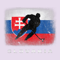 Slovakia Ice Hockey Slovak Flag Premium Hoodie | Teevron