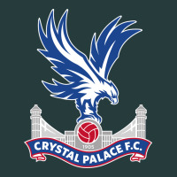 The-crystal-palace-f.c.-cool Premium Hoodie | Teevron