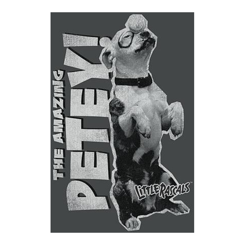 Little Rascals, Amazing Petey Premium Hoodie by InspiraDesign | Teevron