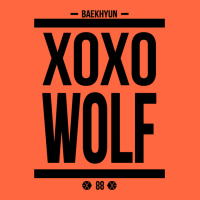 Exo Wolf  Baekhyun 88  Kpop Text Style Premium Hoodie | Teevron